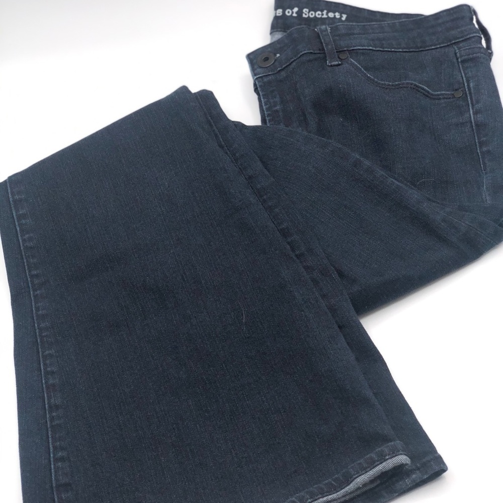 Articles of Society Flare Jeans